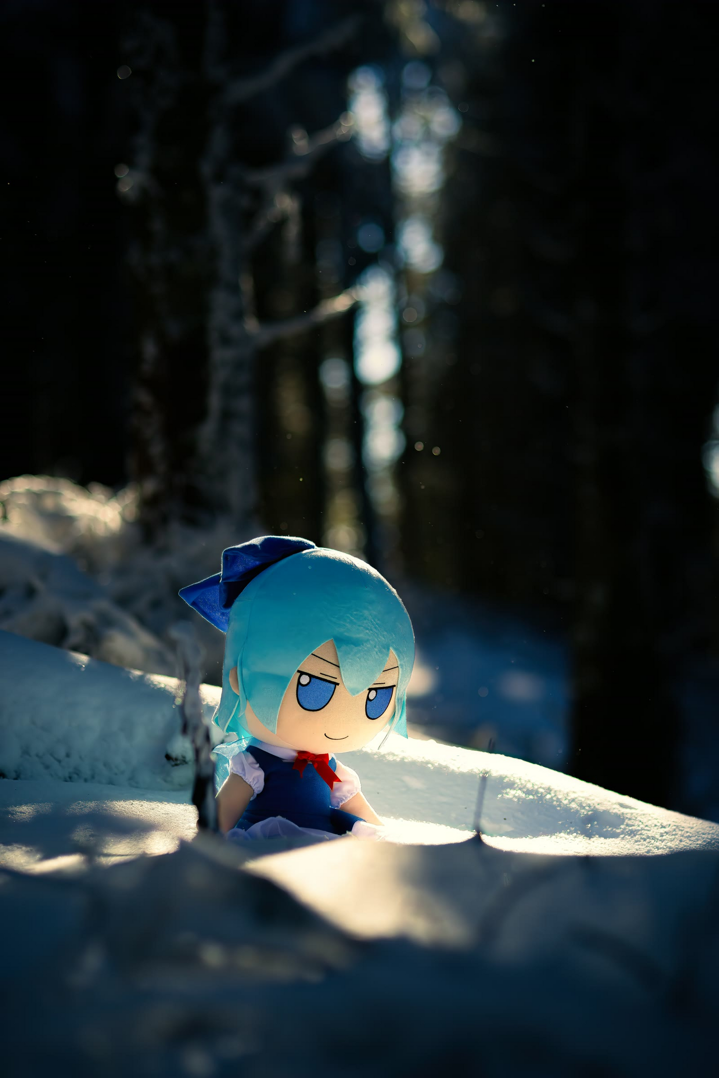 Cirno Contemplates