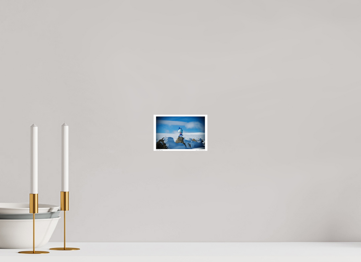 6 x 4″, Photo Print On Fuji Crystal DP II Antarctica