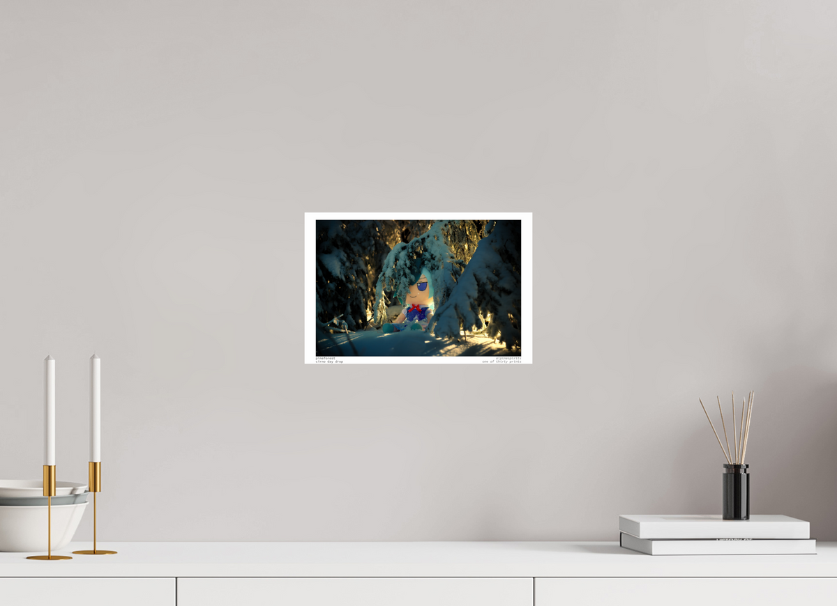 12 x 8″, Photo Print Under Acrylic Glass Pine Forest