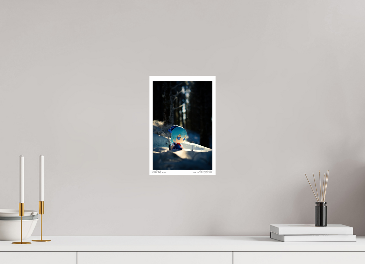 8 x 12″, Photo Print Under Acrylic Glass Snowlight