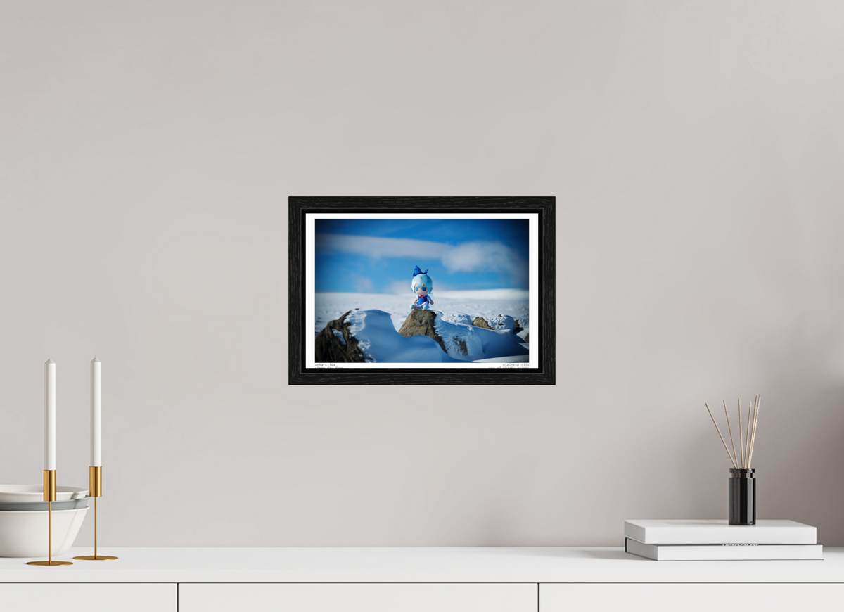 12 x 8″, Floater Frame Antarctica