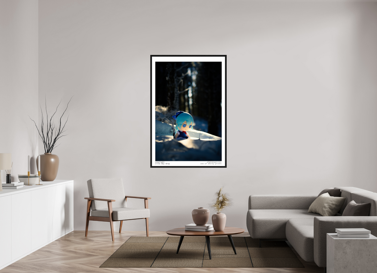 40 x 60″, Floater Frame Snowlight
