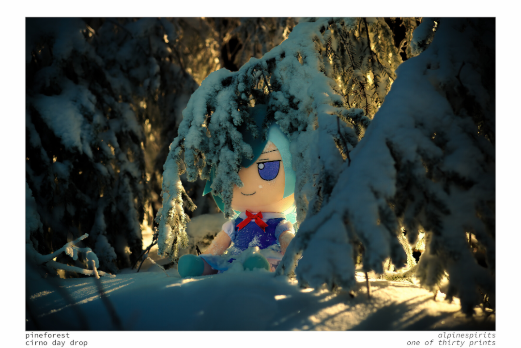 Main image Pine Forest