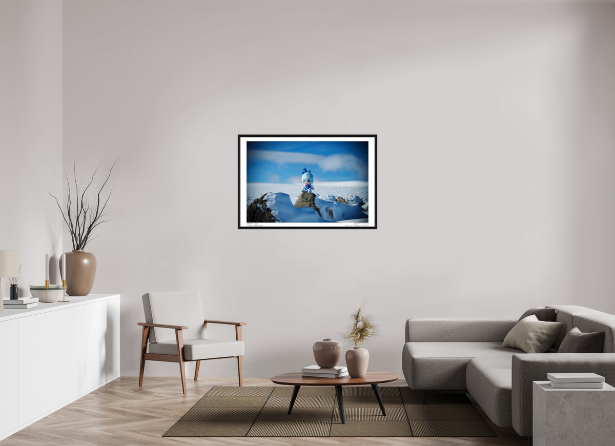 45 x 30″, Floater Frame Antarctica
