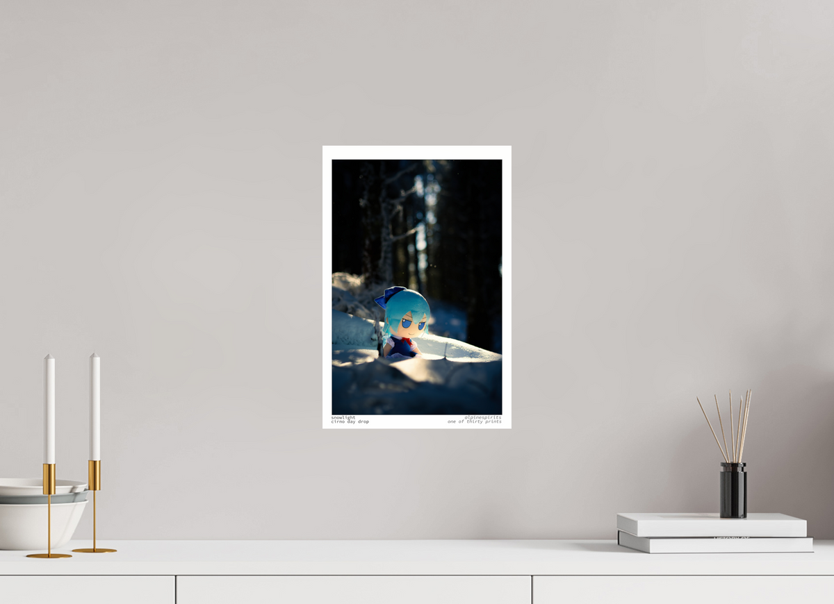 10 x 15″, Photo Print Under Acrylic Glass Snowlight