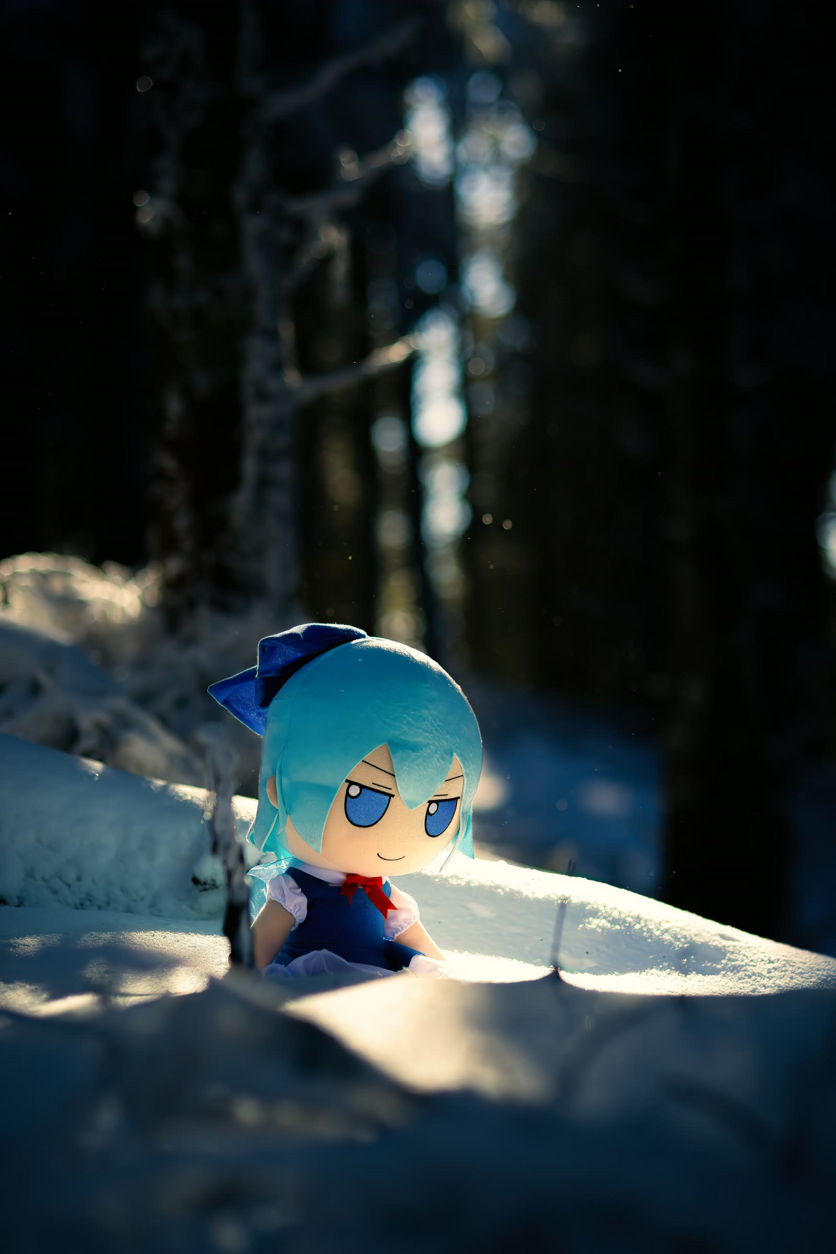 Cirno Contemplates